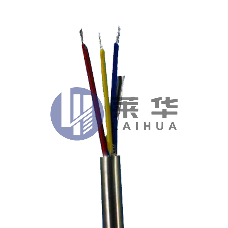 Immaculatam ferro fibra opticus testis funem